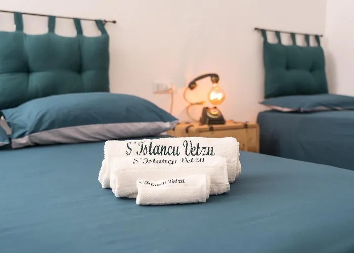 公寓 S' Istancu Vetzu *